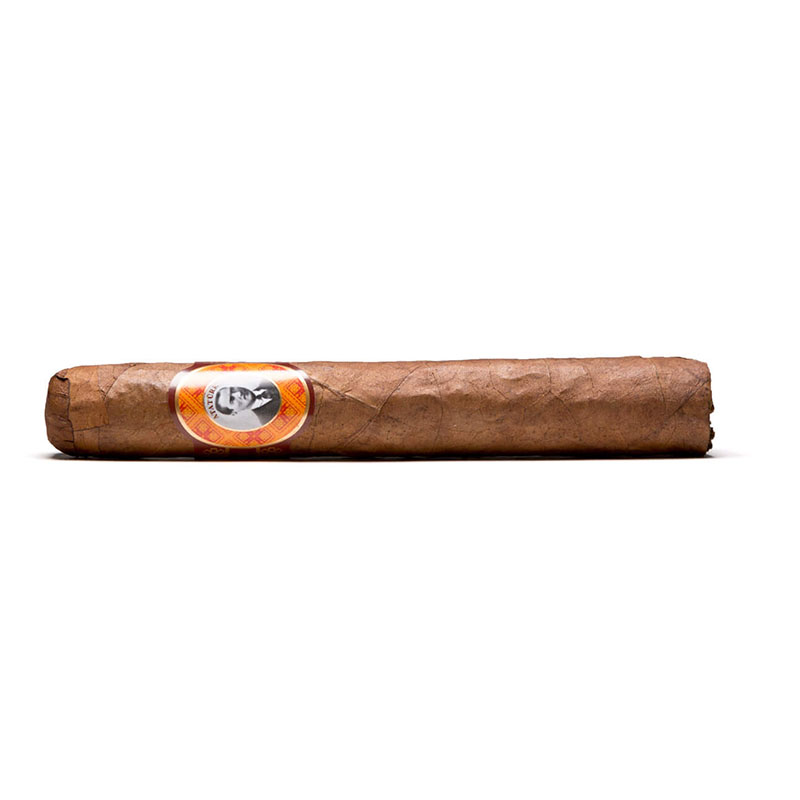 Atatürk Robusto Zigarre