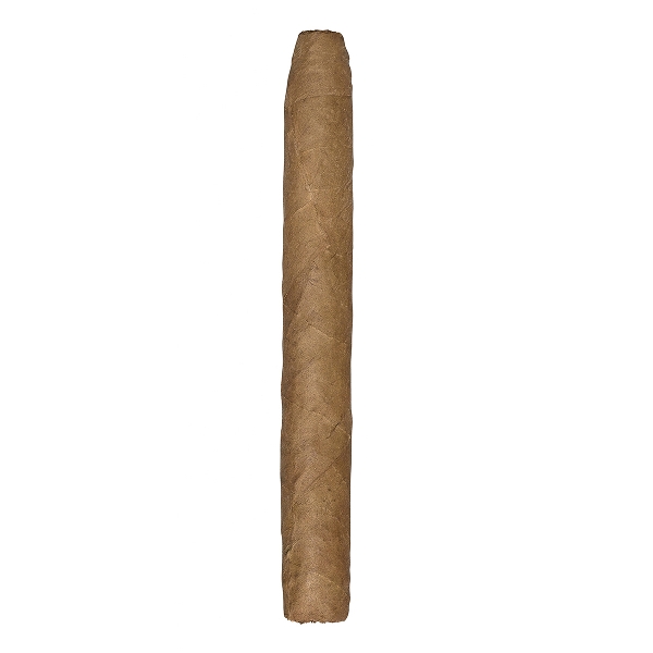 De Olifant Corona Zigarre